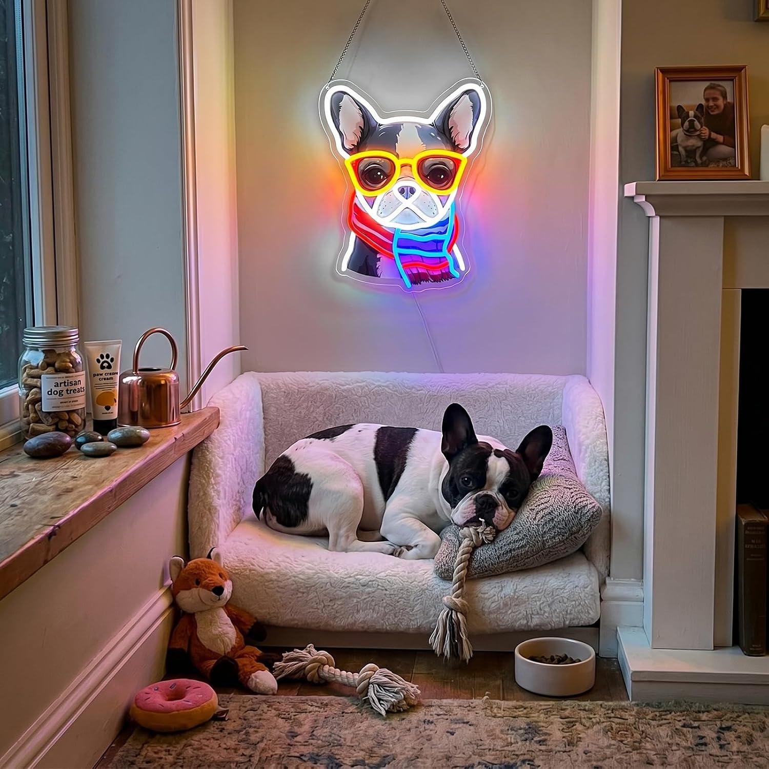 French Bulldog Neon Sign Dimma - đánh giá và giá Men'S Grooming Dc